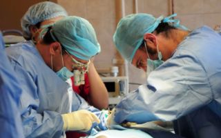 Лечение рака надпочечников в израиле: стоимость, отзывы